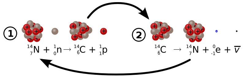 800px-Carbon 14 formation and decay.svg