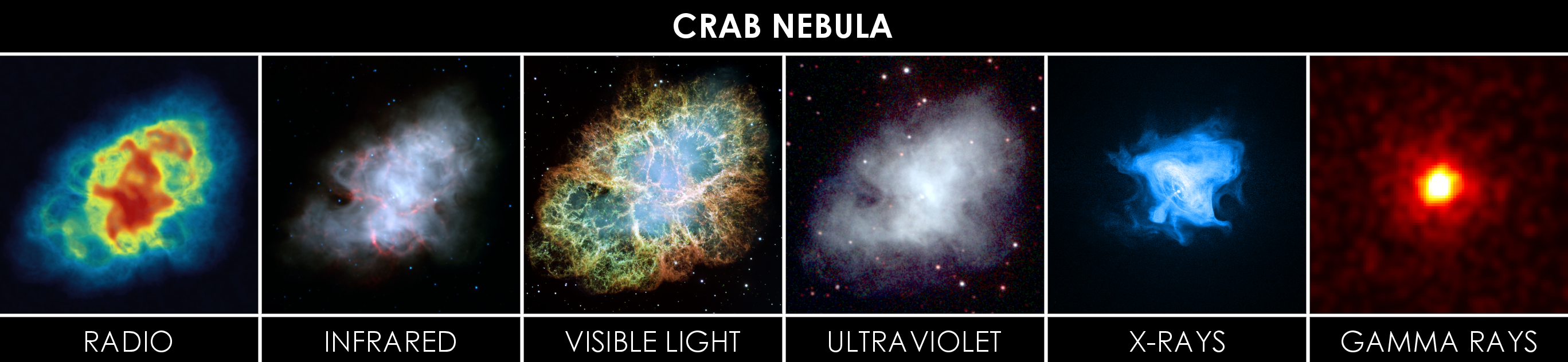 Crab Nebula in Multiple Wavelengths