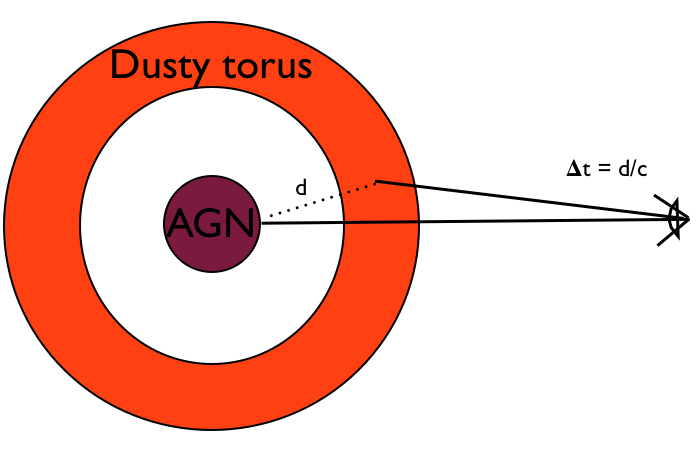 torus geometry agn